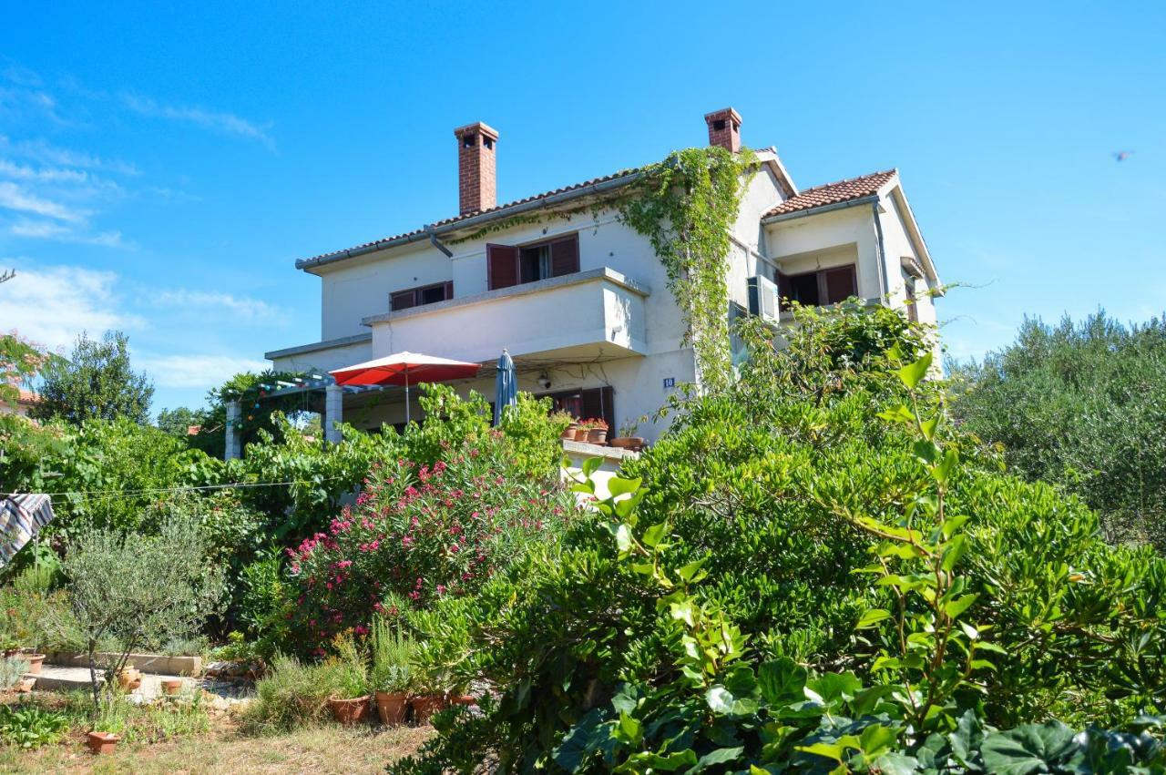 Apartment Zoja Pinezići المظهر الخارجي الصورة