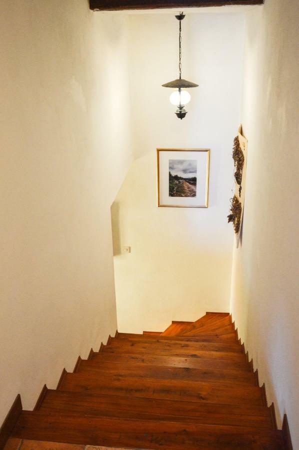 Apartment Zoja Pinezići المظهر الخارجي الصورة