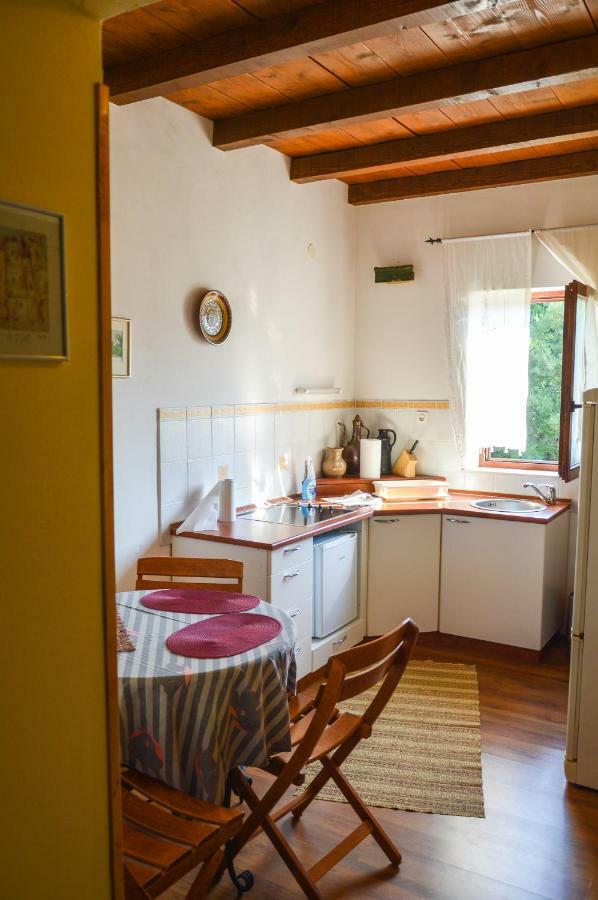Apartment Zoja Pinezići المظهر الخارجي الصورة